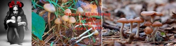 MDMA Волосово