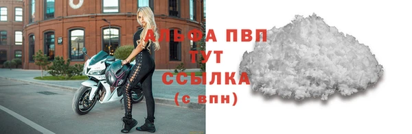 стафф Волоколамск