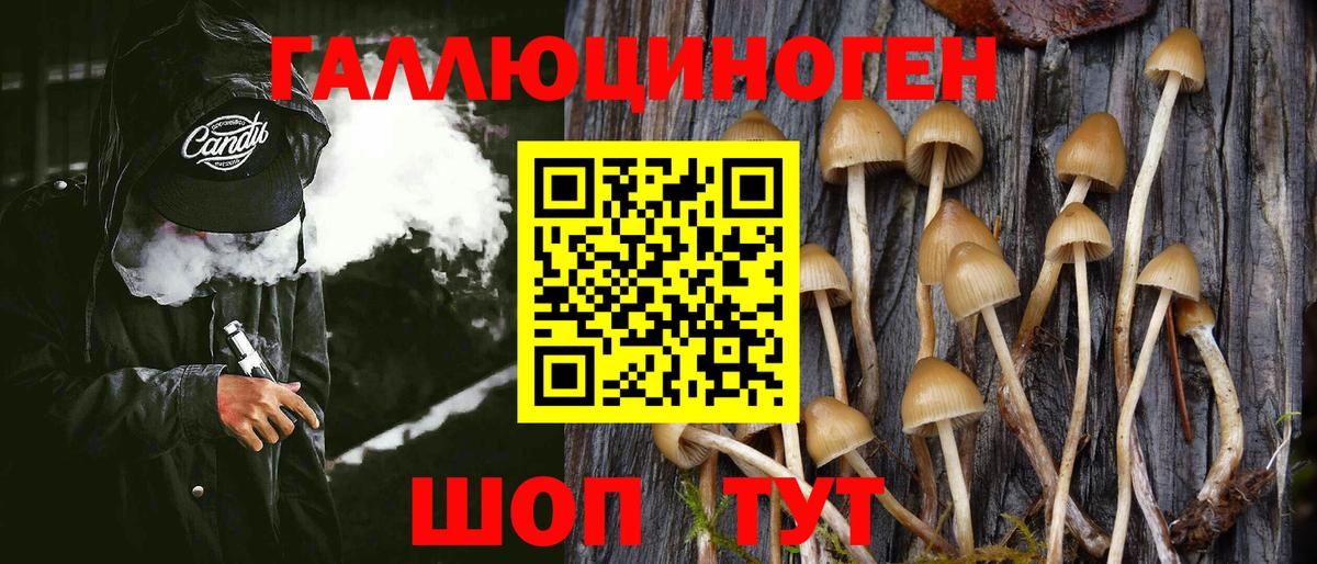 Назарово  Галлюциногенные грибы Magic Shrooms  Вход с VPN  как найти закладки  Псилоцибиновые грибы Magic Shrooms 