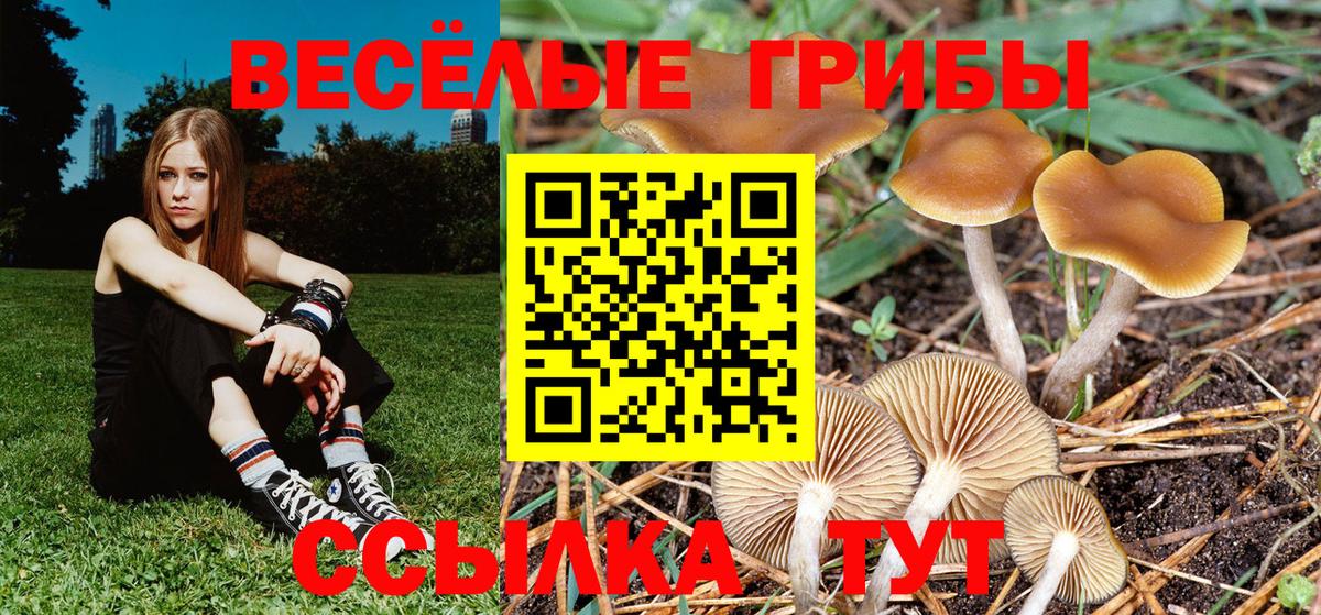 APVP Назарово